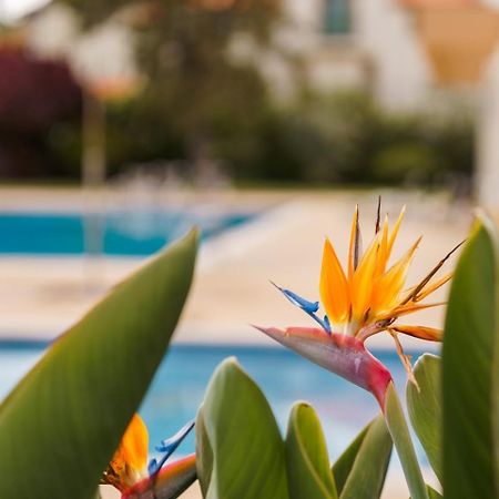Sunny Getaway In Funchal Apartment Bagian luar foto