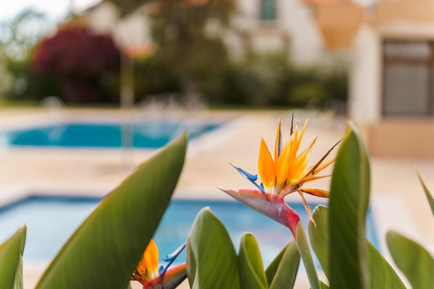 Sunny Getaway In Funchal Apartment Bagian luar foto
